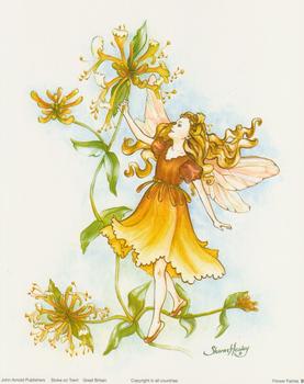 Garden Fairies B by Sharon Healey - 10