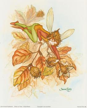 Garden Fairies C - By Sharon Healey - 10