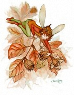 Garden Fairies B - By Sharon Healey - 10