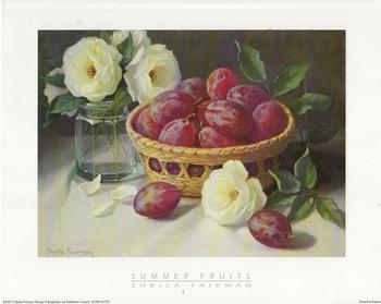 Summer Fruits A5 Main Gallery Shiela Fairman