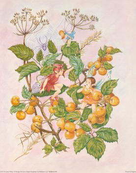 Fairies - by Lynne Willey - 10