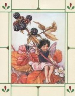 Fairies
