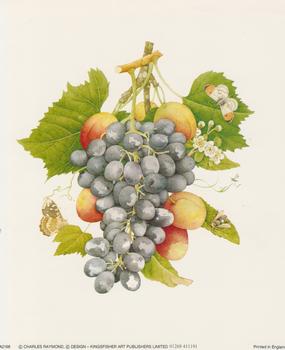 Grapes by Charles Raymond - 5