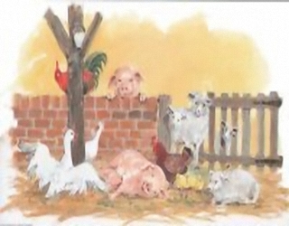 Farmyard Friends C11 Main Gallery D Charlesworth