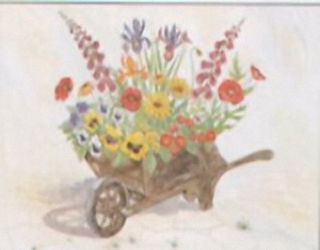 Flowers in a Wheelbarrow I3 Main Gallery Not Known