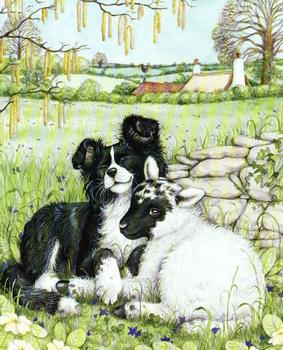 Farmyard Friends 2 - Dog & Sheep - 10