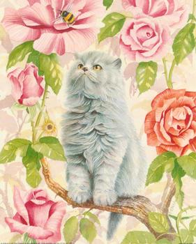 Orchard Cats B 2229 - by Clive Pritchard - 8