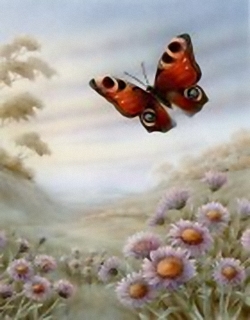 Butterflies