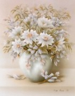 Pastel Fragrances K8 Main Gallery Rob Pohl