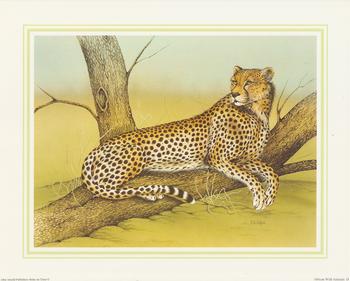 **CHEETAH** African Wild Animal (D) by J A Pulford 5