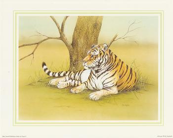 **TIGER**African Wild Animal (C) by J A Pulford 5