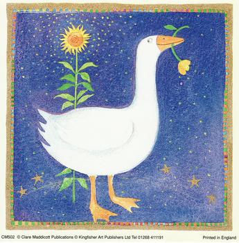 Animals and Flowers