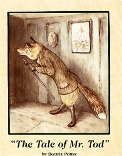 The Tale Of Mr.Todd Main Gallery Beatrix Potter