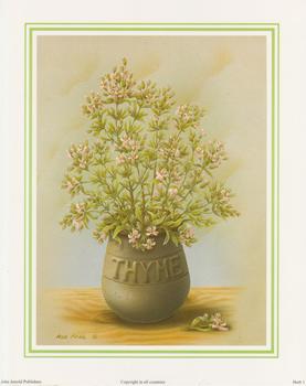 Herb Print 1- THYME by Rob Pohl - 10