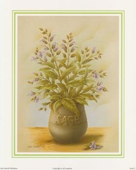 Herb Print 2 - SAGE by Rob Pohl - 10