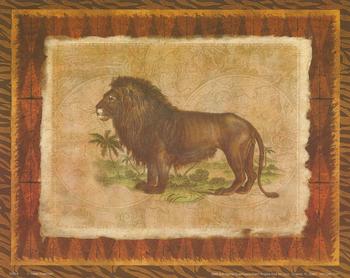 African Animal - Lion - 10