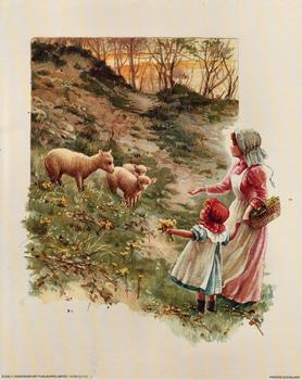 Feeding the Sheep - Print B 2245 10