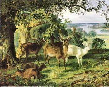 Deer in the Shade by Joseph Denovan Adam - 10