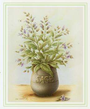 Sage Herb Print ** by Rob Pohl ** 5