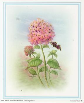 Summer Glory B - by John Arnold - Print Size 5