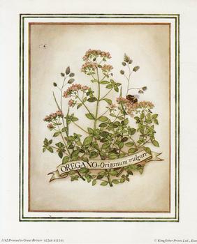 OREGANO Herb Print ** ** 5