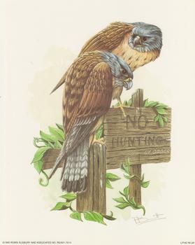 LIMITED STOCK - Birds of Prey/Owls - No Hunting - Robin Sudbury 10