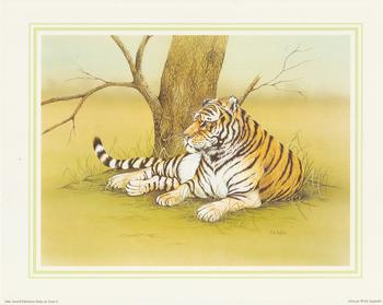 **TIGER**African Wild Animal (C) by J A Pulford 10