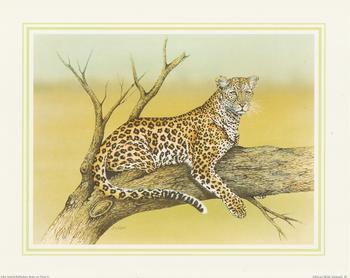 ** LEOPARD** African Wild Animal (b) by J A Pulford 10