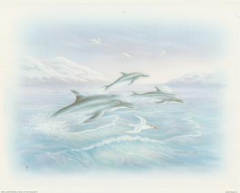 Arctic Life Dolphins Scene A - Rob Pohl Print - 10