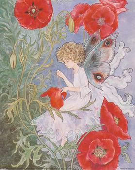 Flower Fairies sewing red flower **A Jacky Fenton Print ** B2408 ~~ 10