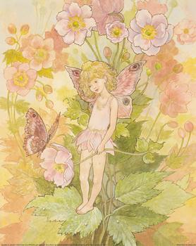 Flower Fairies with Butterfly **A Jacky Fenton Print ** B2409 ~~ 10