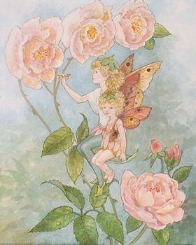 Flower Fairies - 2 Fairies Sitting on a Flower -  **A Jacky Fenton Print ** B2410 ~~ 10