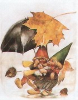 Indians and Gnomes