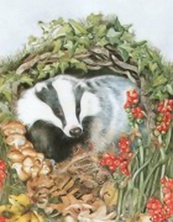 The Badger B6 Main Gallery Sheila Mannes Abbot