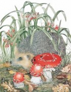 The Hedgehog B7 Main Gallery Sheila Mannes Abbot