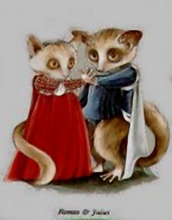 Romeo & Juliet Kits Susan L Herbert