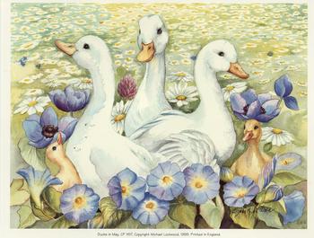 Ducks in May by Elizabeth de Lister Print - CP1157 - 7