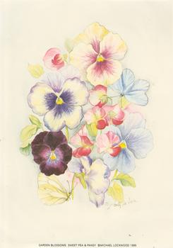 SWEET PEA & PANSY - 5