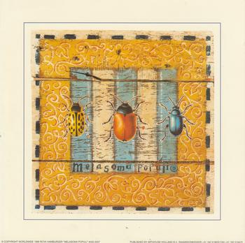 Melasoma Populi - Leaf Beetle - Card Topper 7