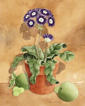Purple & White Phlox type flower  - 10
