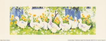 Mason Ducks and Geese 1 with Yellow Flowers -- By Sandra Mason -- Print 10cm x 25.5cm . -Jacksons mail Order