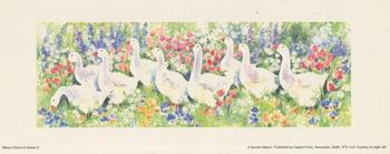 Mason Ducks and Geese 2 with Red Flowers -- By Sandra Mason -- Print 10cm x 25.5cm . -Jacksons mail Order