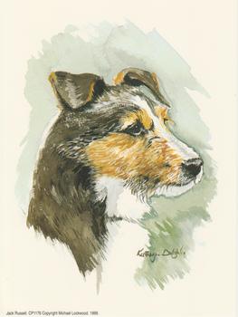 Jack Russell Dog by Kathryn Dalziel . Kathryn Dalziel