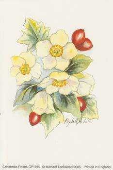 Christmas Roses - CP1249 - 4