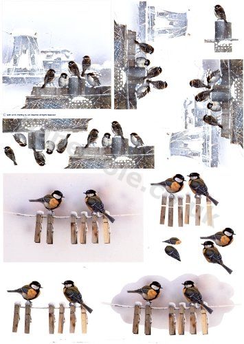 Great Tits And Sparrows     4169601 3D Easymake Easy to follow instructions