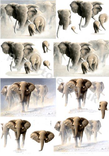 Elephants     4169594 3D Easymake Easy to follow instructions