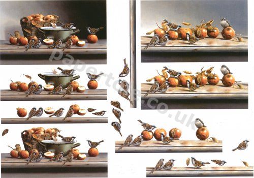 Sparrows and Apples     4169603 3D Easymake Easy to follow instructions