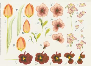 A4 Craft Sheet No 40 - Tulips & Pansies . *