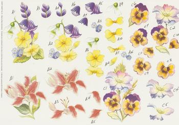 Heartsease , Lillies , BlueBell & Pansies  Step by Step Sheet No 10 . -Jacksons mail Order