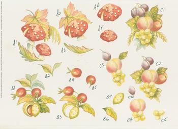 Mushrooms Cherries and Mixed Fruit*** Craft Sheet No50 By Michael Lockwood . Jacksons